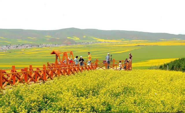 青島推動(dòng)文旅項(xiàng)目多領(lǐng)域、多業(yè)態(tài)、多層次發(fā)展